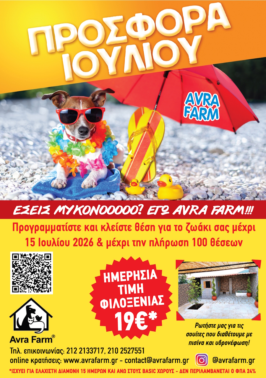 summer-ioylios-2026.jpg